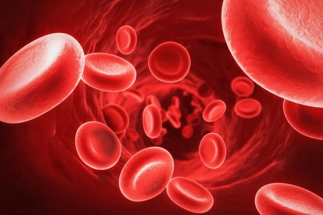 Eletroforese de hemoglobina, entenda como é a coleta do sangue e para que serve este exame