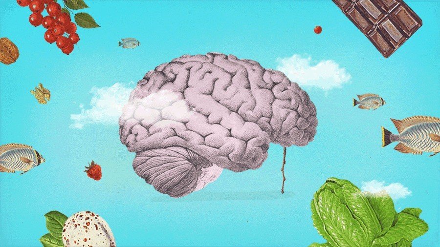 10 melhores alimentos para o cérebro