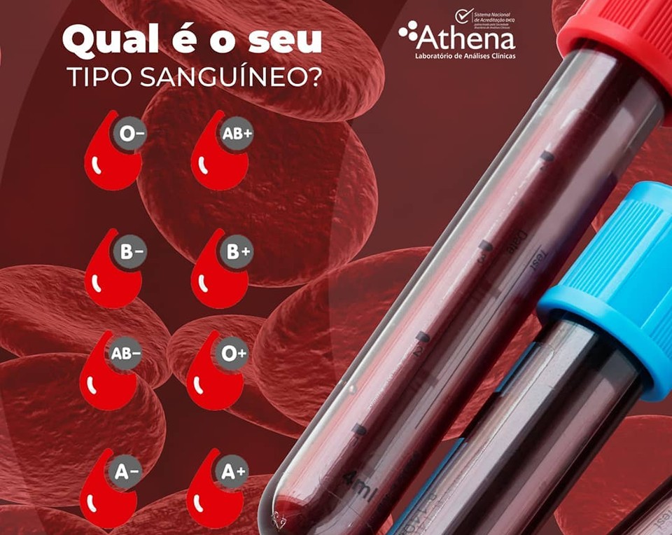 Tipos Sanguíneos
