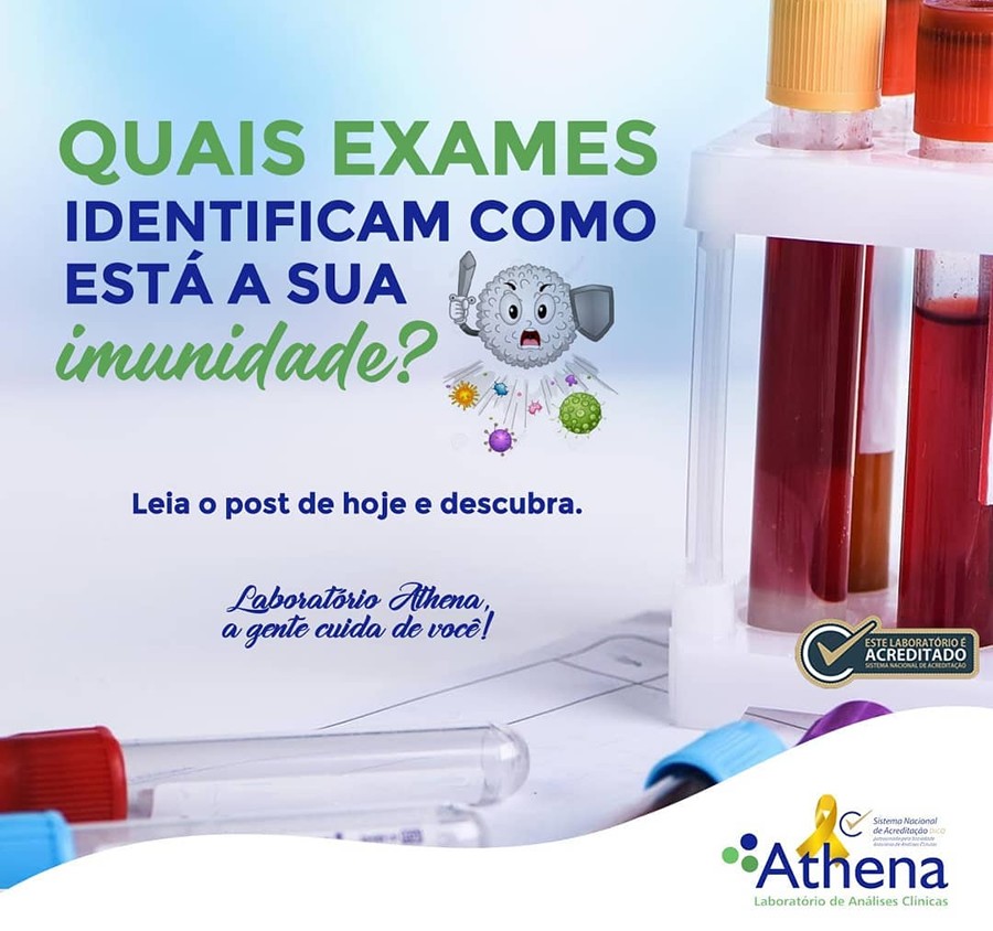 Vamos falar sobre imunidade